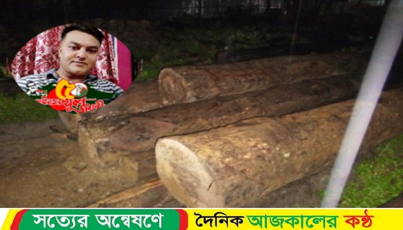 বান্দরবানে আদালতের নির্দেশে জব্দকৃত গাছ বিক্রির অভিযোগ উঠেছে এসআই আলমগীর বিরুদ্ধে