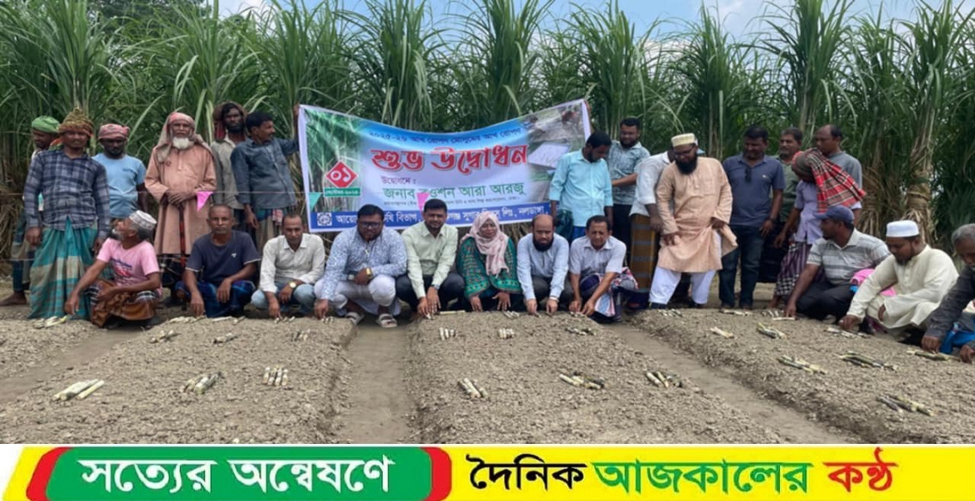 মোবারকগঞ্জ চিনিকলে ২০২৫-২৬ আখ রোপন মৌসুমের উদ্বোধন