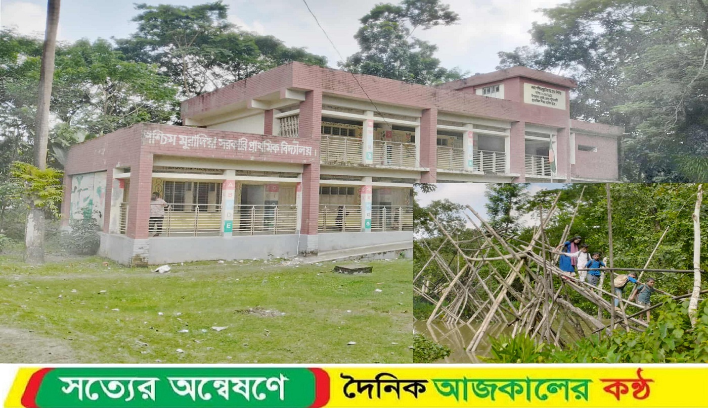 দুমকীতে স্কুলপড়ুয়া কোমলমতি শিক্ষার্থীদের দুর্ভোগ, ভাঙাচোরা বাঁশের সাঁকোই একমাত্র ভরসা।