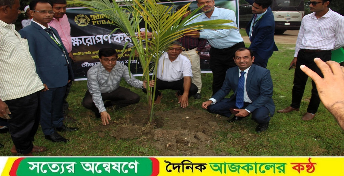 জাককানইবিতে বৃক্ষরোপণ কর্মসূচি উদ্বোধন