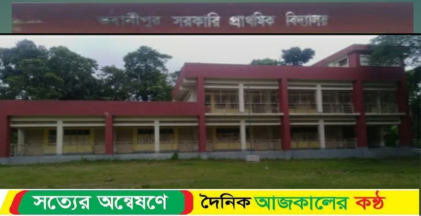 নিয়ম-নীতির তোয়াক্কা না করে স. প্রা.বিদ্যালয়ের বেঞ্চ বিক্রি : নেপথ্যে প্রধান শিক্ষিকা ও স্থানীয় বিএনপি নেতা