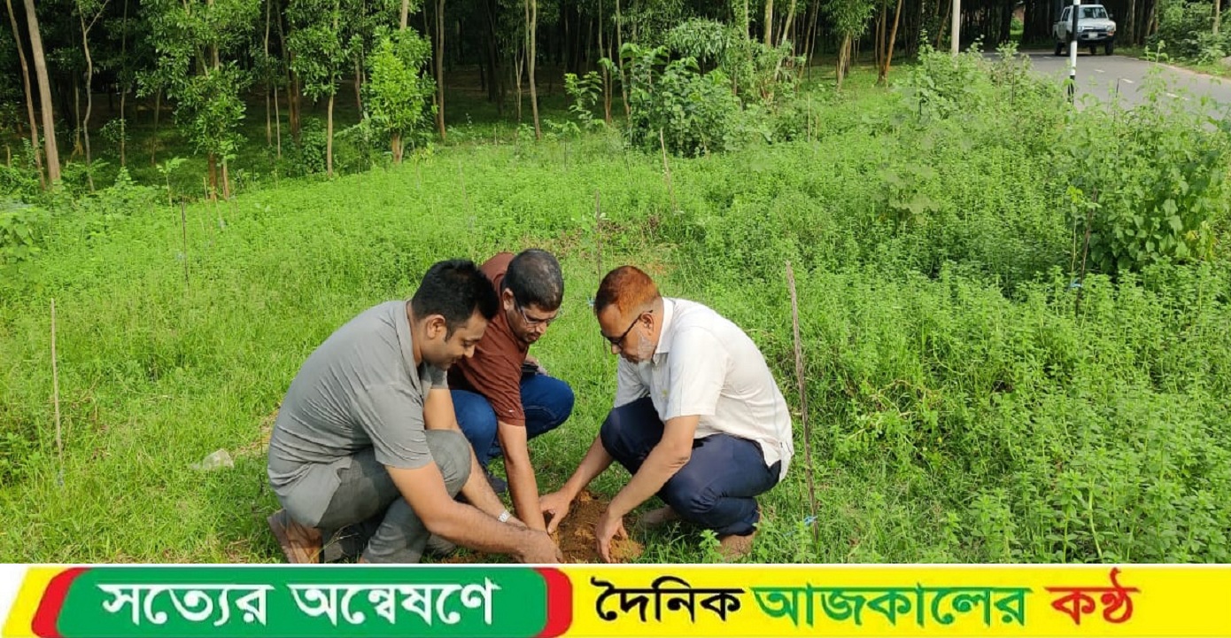গাজীপুর তালবীজ রোপণ কর্মসূচি অনুষ্ঠিত