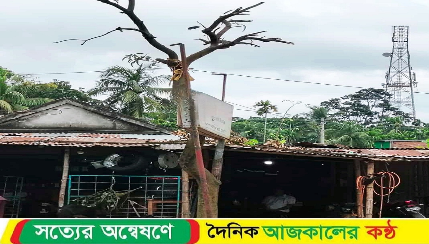 নড়াইলে পাখির আবাসস্থল নষ্ট করার অভিযোগে ব্যবসায়ীকে জ/রিমানা