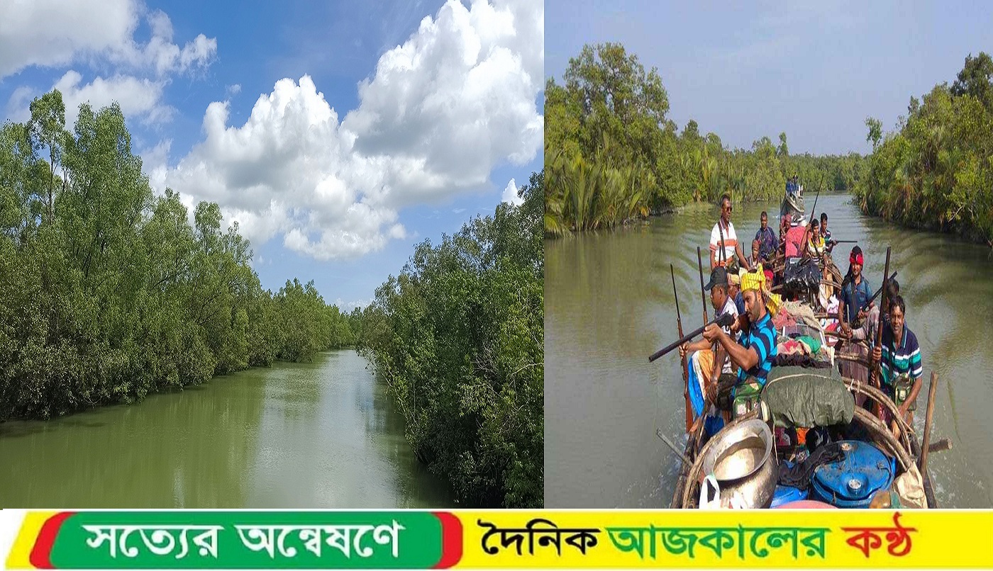 সুন্দরবনে বনদস্যুদের দৌরাত্ম্য:পেশা বদলাচ্ছেন জেলেরা
