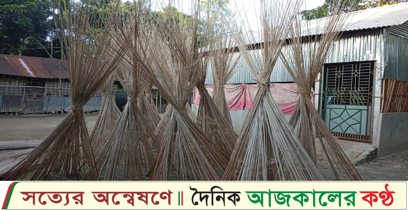 লালমনিরহাটে পাটের চেয়ে পাটকাঠির চাহিদা বেশি