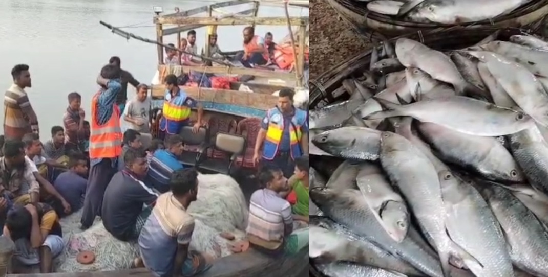 কলাপাড়ায় মা ইলিশ রক্ষায় অভিযান: ২৬ জেলে আটক, জব্দ ৮ হাজার মিটার জাল