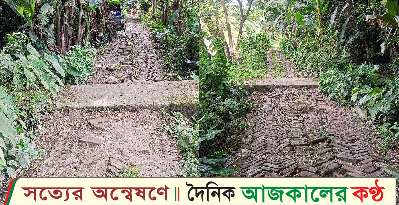 দুমকিতে এলজিইডি সড়কের বেহাল দশা: দুটি শিক্ষা প্রতিষ্ঠানের শিক্ষক-শিক্ষার্থীর চরম দুর্ভোগ!