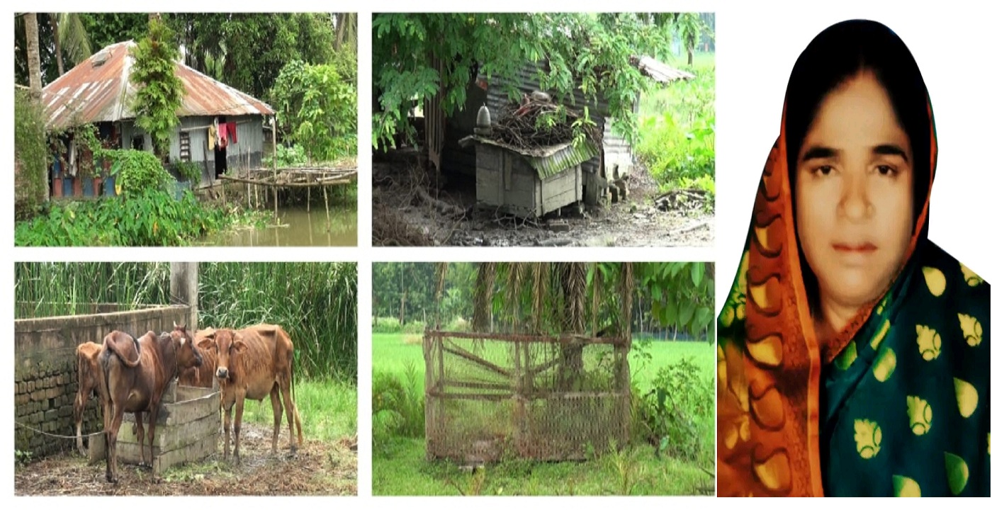 বাকেরগঞ্জে আওয়ামী লীগ নেত্রী আনোয়ারা বেগম আয়নোর দখলে পৌর গোরস্থান!!