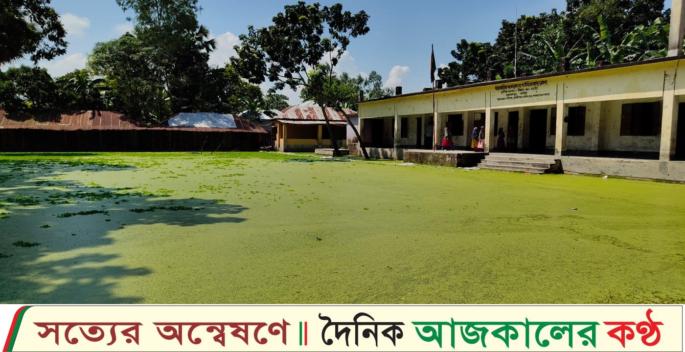 ডেঙ্গু আতঙ্ক রয়েছে ছাত্র-ছাত্রীরা গুরুদাসপুরে মাদরাসা মাঠে জলাবদ্ধতা, দুর্ভোগে শিক্ষক-শিক্ষার্থীরা