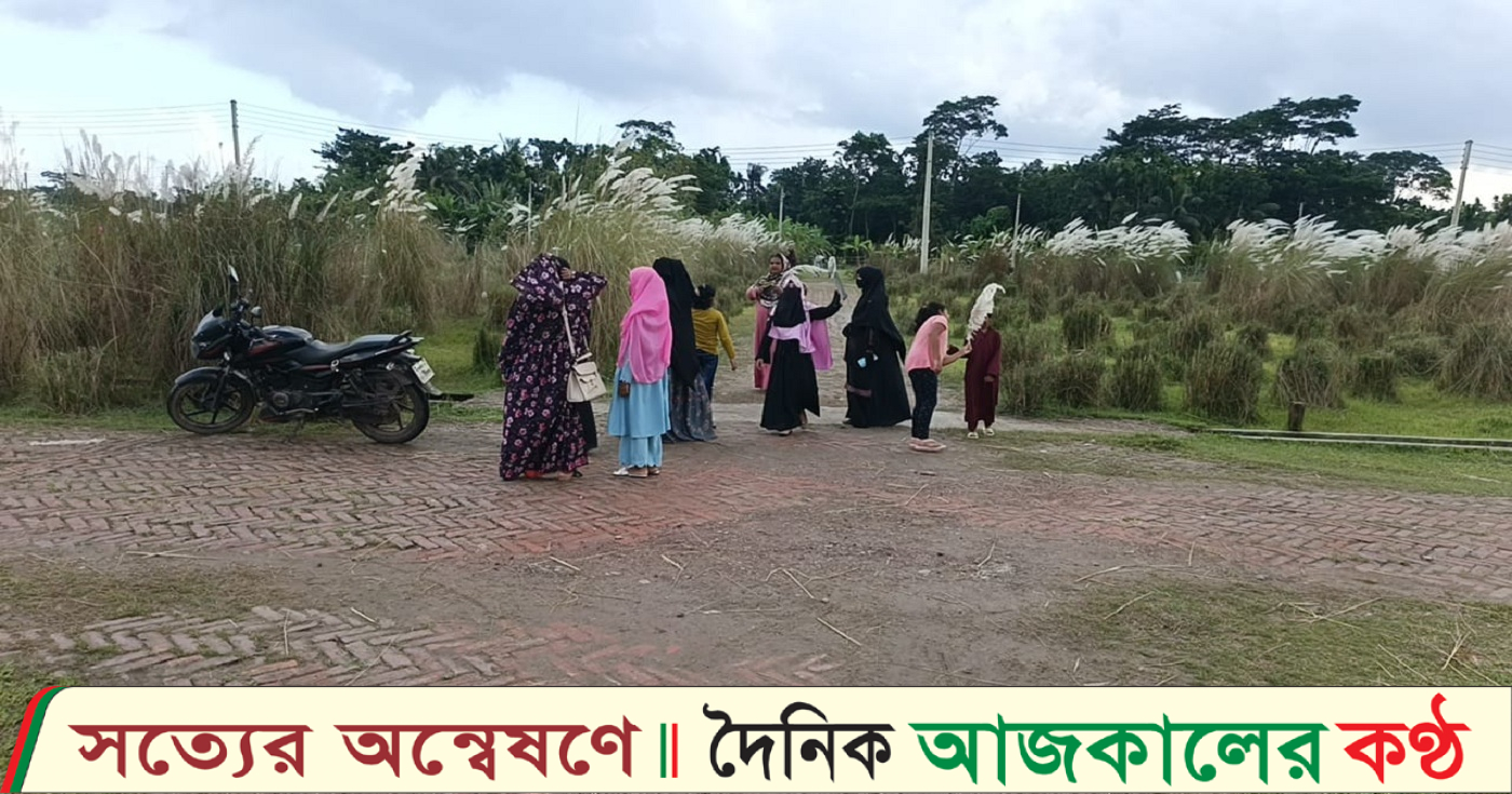 পিরোজপুরের বিভিন্ন অপার সৌন্দর্যের স্পটগুলোতে জমে উঠেছে কাশফুলের শুভ্রতায় শরতের উৎসব