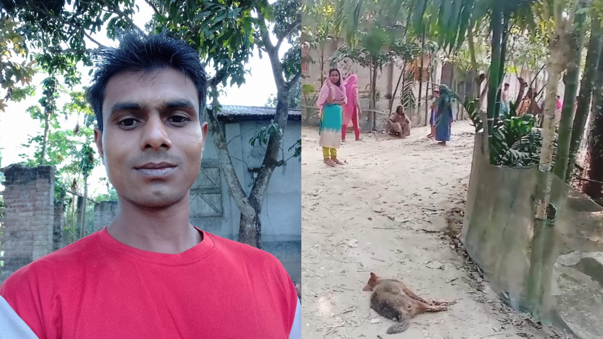 বাগডোব গ্রামে শিয়ালের কামড়ে শিশু আহত, পরদিন মারা গেলেন বাবা