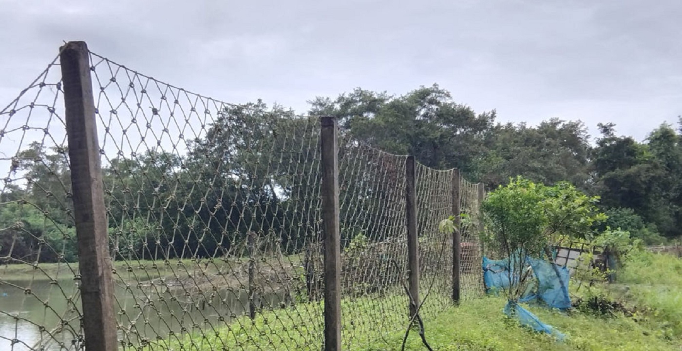 সুন্দরবন রক্ষায় ৪৫ কিমি নাইলনের বেড়া, ওয়াচ টাওয়ার ও কিল্লা নির্মাণ