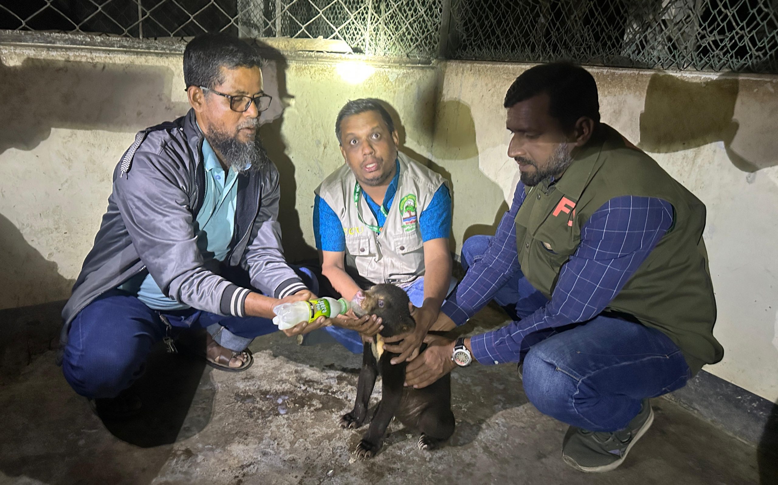 আলীকদমে বিপন্ন ভাল্লুকের বাচ্চা উদ্ধার করলেন লামা বনবিভাগ