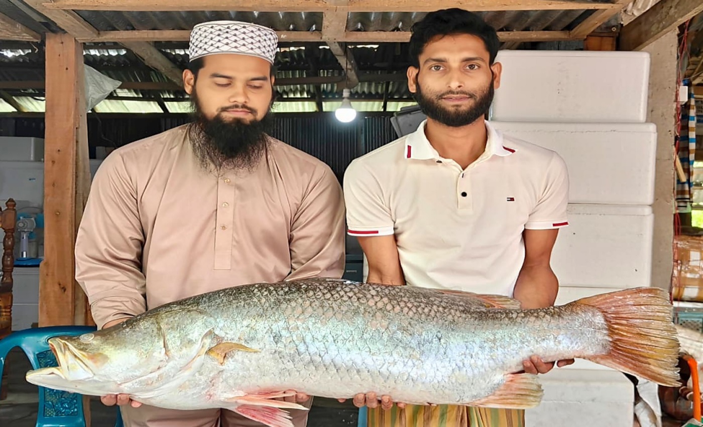 কুয়াকাটার সাগর থেকে উঠে এলো ‘সোনালী কোরাল’, দাম ২৬ হাজার টাকা!