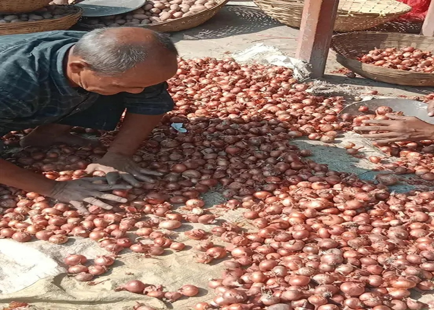 আত্রাইয়ে পেঁয়াজের দাম বৃদ্ধি পেয়েছে