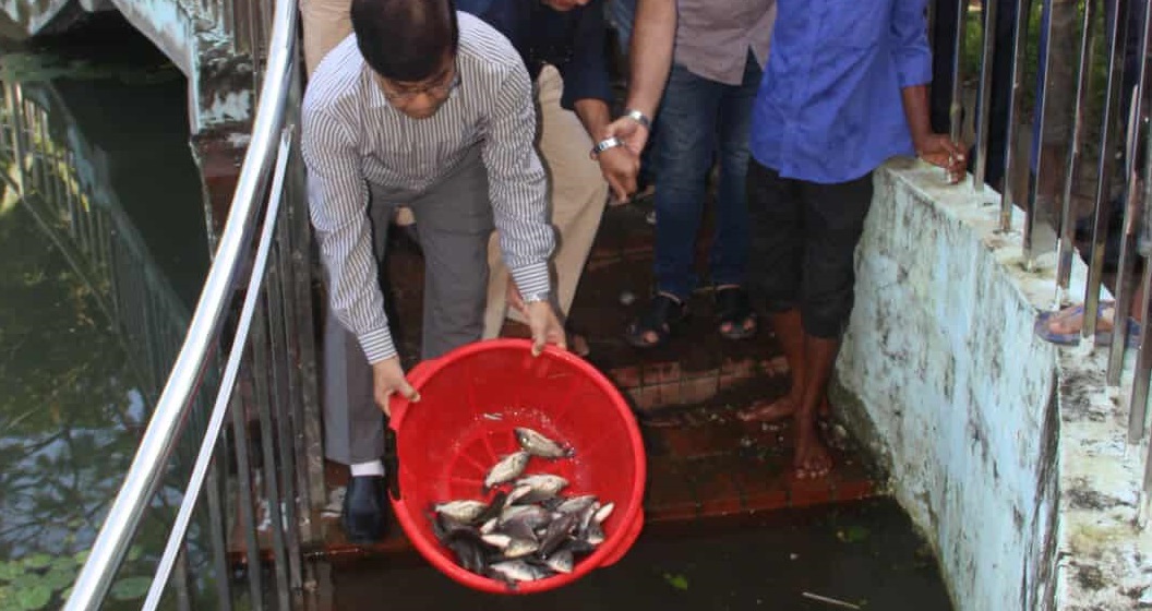 জাককানইবিতে মাছের পোনা অবমুক্তকরণ কর্মসূচি উদ্বোধন