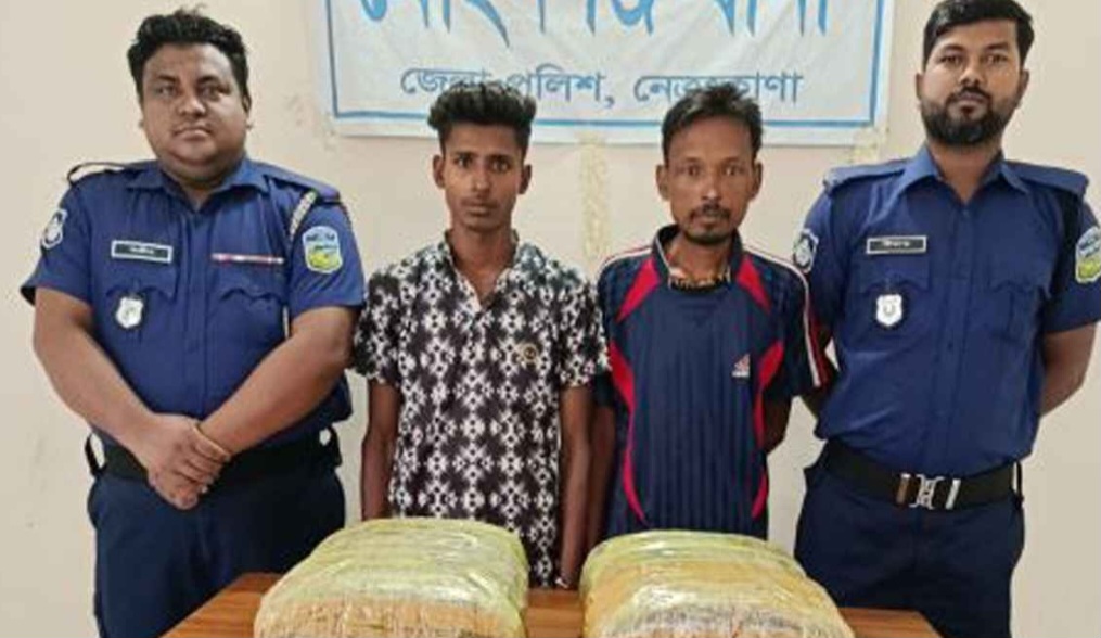 মোহনগঞ্জে ১২কেজি গাঁজা সহ দুই মাদক কারবারি আ/টক