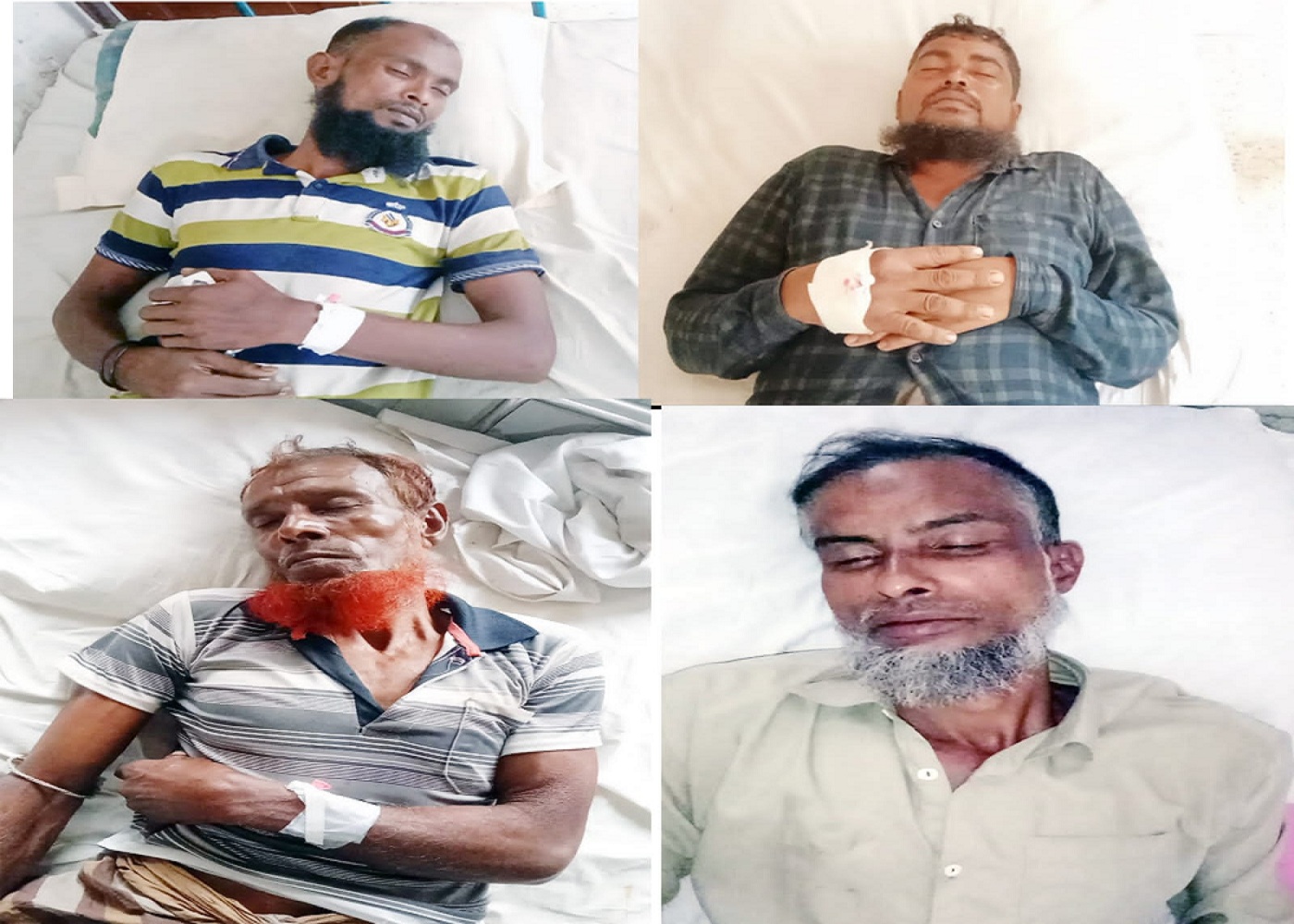তজুমদ্দিনে গরু লাল শাক খাওয়াকে কেন্দ্র করে হা’মলা আ/হ/ত -৭