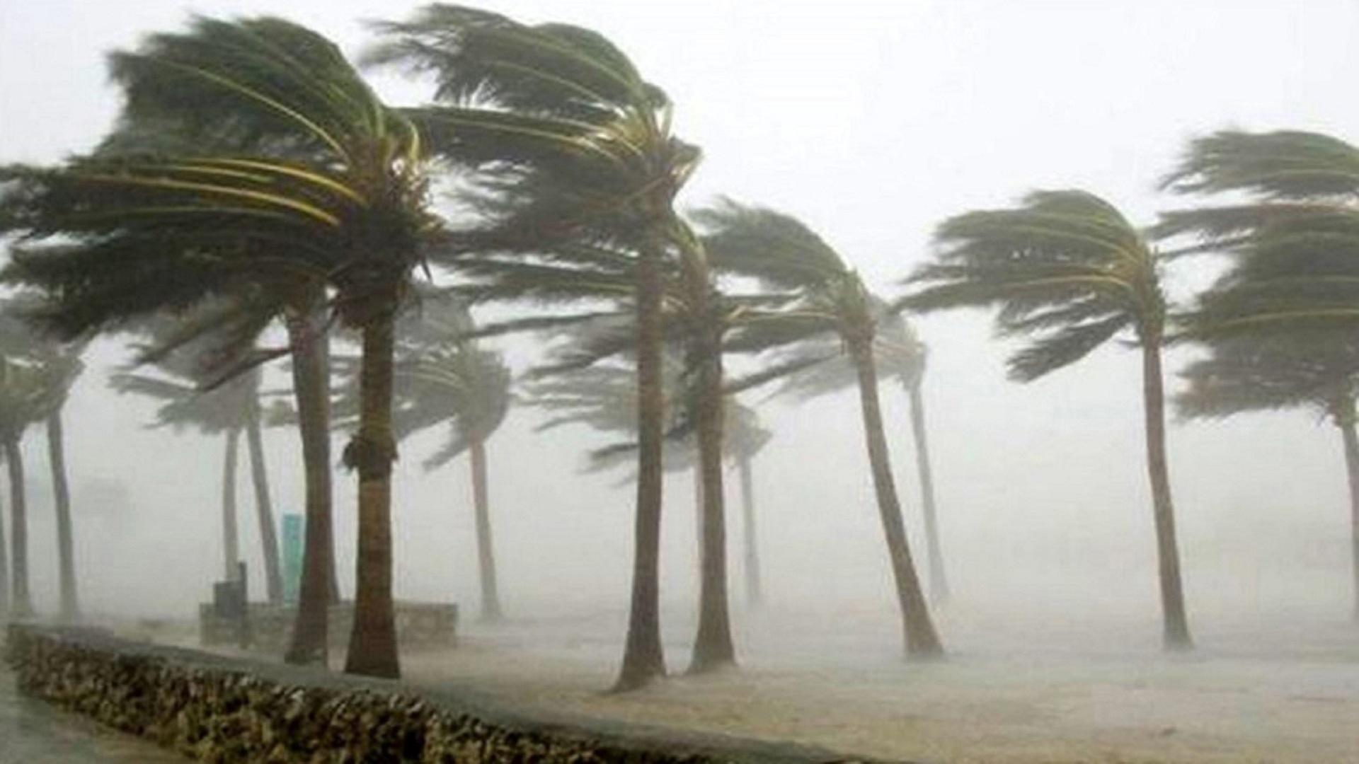 যেসব জেলায় সন্ধ্যার মধ্যে ঝড়বৃষ্টির আভাস