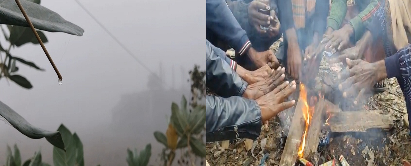 গুঁড়ি গুঁড়ি বৃষ্টির মতো ঝরছে কুয়াশা, তিন দিনেও দেখা মেলেনি সূর্যের