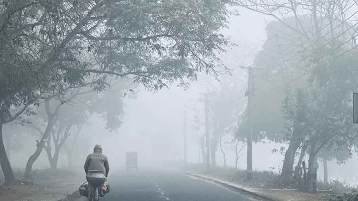 দুমকিতে ঘন কুয়াশা ও তীব্র শীতে বিপর্যস্ত জনজীবন, বাড়ছে ঠান্ডাজনিত রোগী