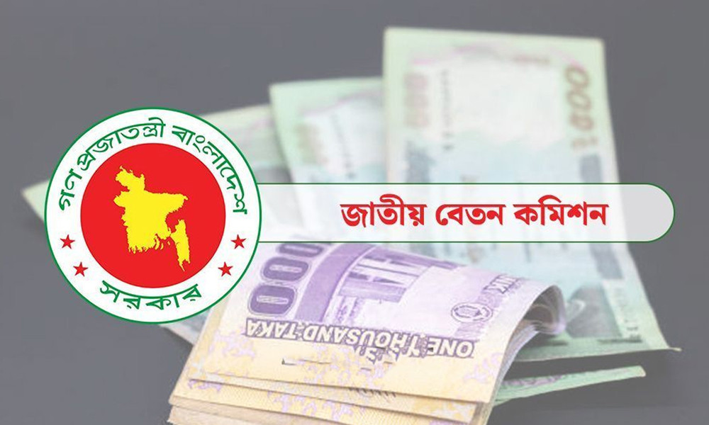 তিন ধাপে বাস্তবায়িত হবে পে স্কেল, সুপারিশ জমা জানুয়ারিতে