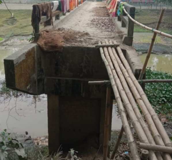 কুড়িগ্রামের বেলগাছায় ঝুঁকিপূর্ণ বাঁশের সাঁকো: স্কুলগামী শিশুদের জীবনঝুঁকি