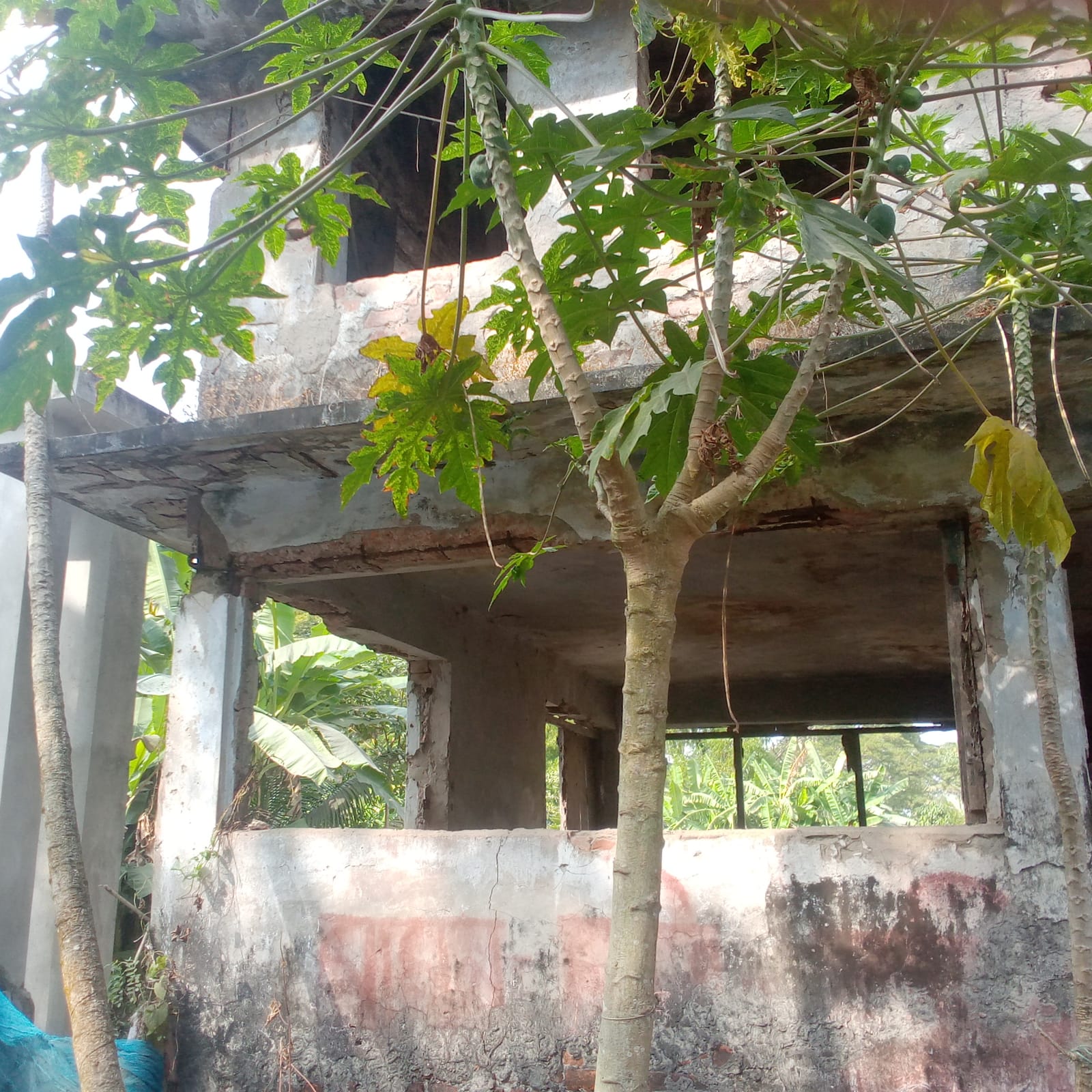 জরাজীর্ণ বিএডিসি ভবন থেকে সরকারি মালামাল চুরি, ট্রাক জব্দ