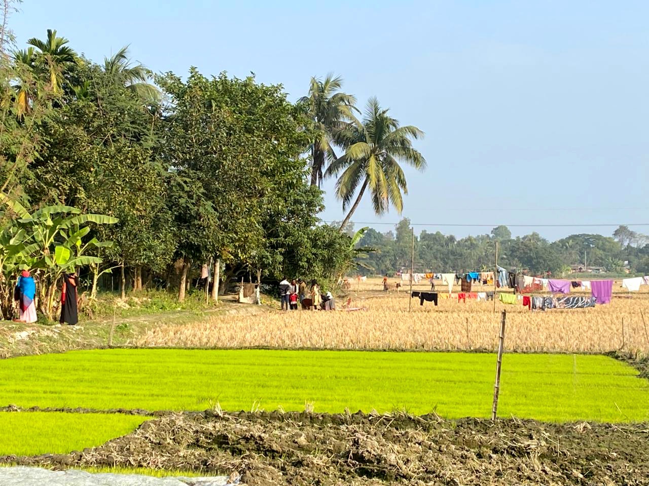 এক সপ্তাহ পর বদলগাছীতে রৌদ্রোজ্জ্বল আবহাওয়া: জনজীবনে স্বস্তি