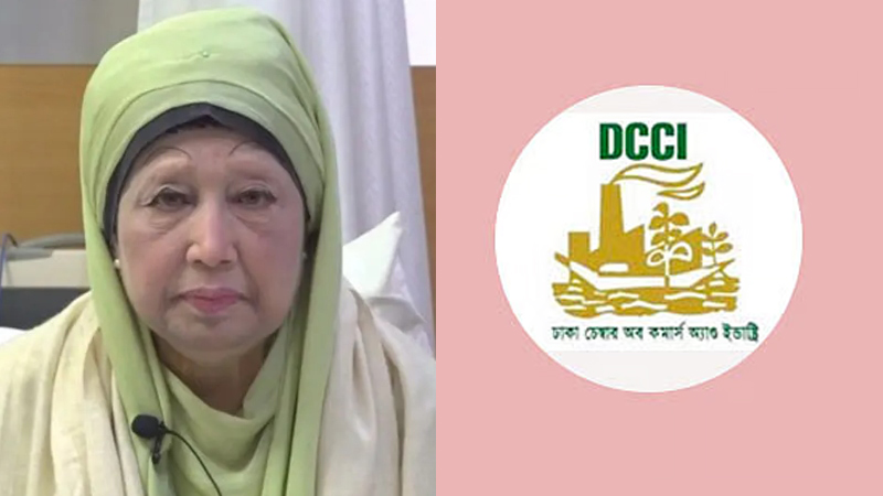 দেশে গণতান্ত্রিক শাসনব্যবস্থা প্রতিষ্ঠার আন্দোলনে বেগম জিয়ার ভূমিকা গুরুত্বপূর্ণ