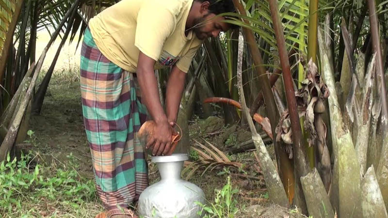 পটুয়াখালীতে গোলের গুড়ে ফিরছে সচ্ছলতা, উপকূলে বিকল্প আয়ের নতুন দিগন্ত