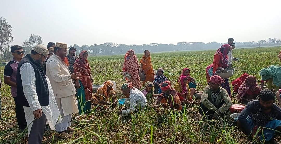 ভুল বিশ্বাসের রাজনীতি থেকে বেরিয়ে দাঁড়িপাল্লায় ভোট দেওয়ার আহ্বান জামায়াতের প্রার্থী আবুল কালাম আজাদ