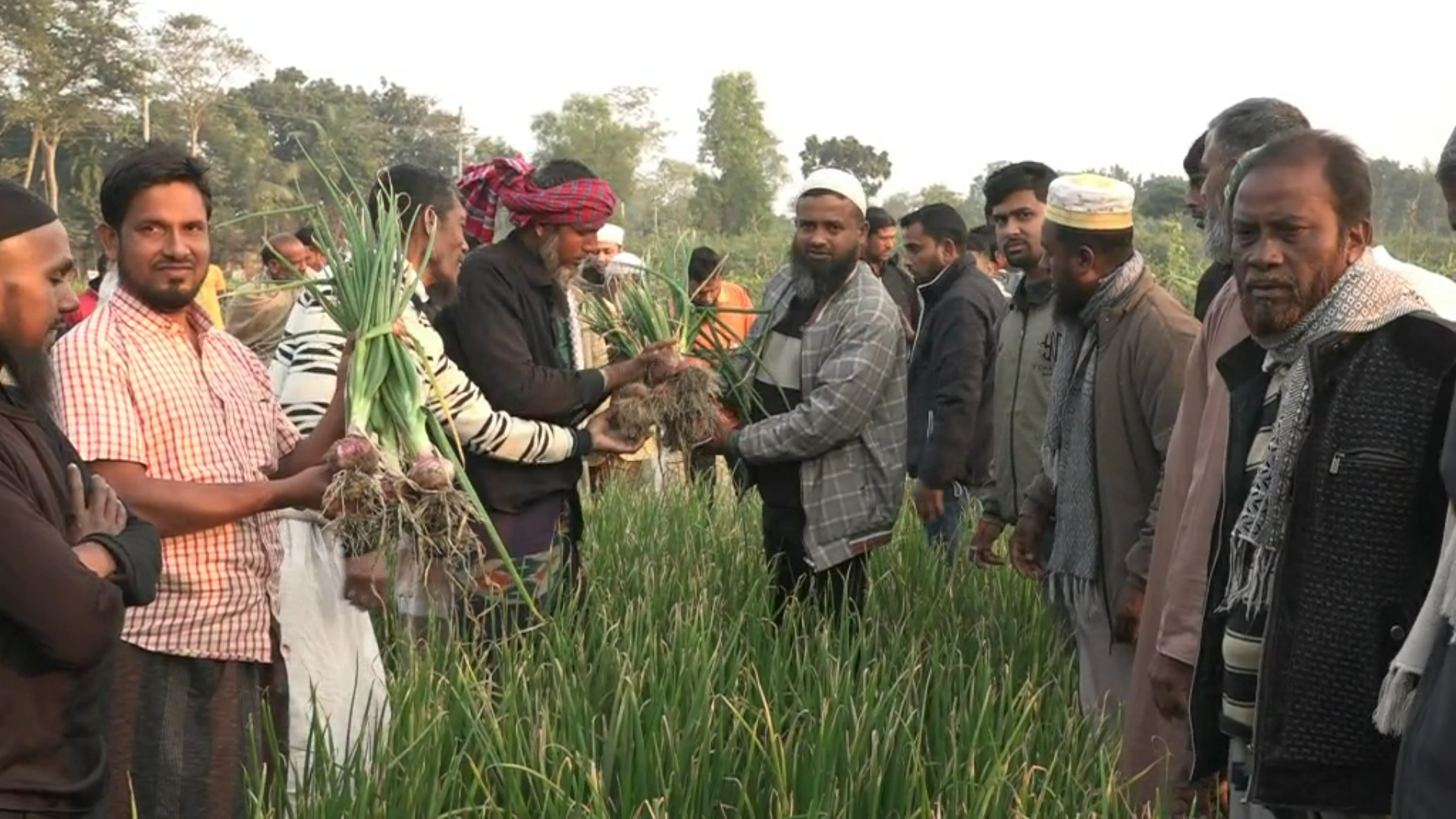 নাটোরে পেঁয়াজ চাষীদের নিয়ে মাঠ দিবস অনুষ্ঠিত