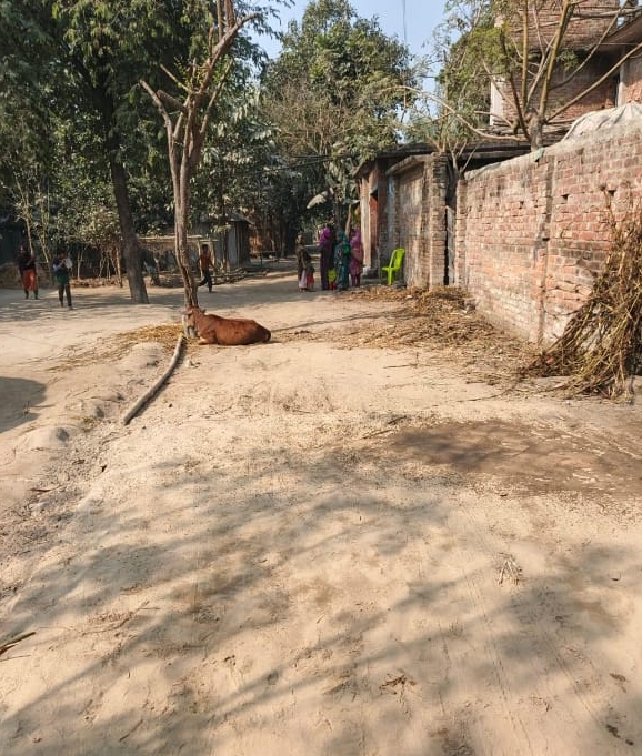 কাবিটা প্রকল্পের ৩.৮২ লাখ টাকা উত্তোলন হলেও রাস্তার কাজ হয়নি, নতুন করে আবারো বরাদ্দ
