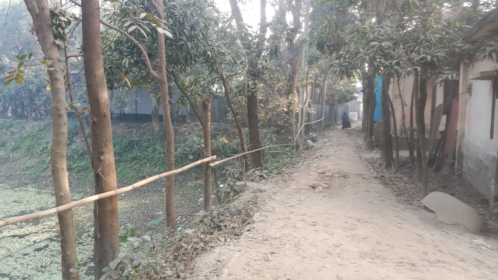 ধামরাইয়ে গাছপ্রেমী আবুল হোসেনের ব্যতিক্রমী উদ্যোগ