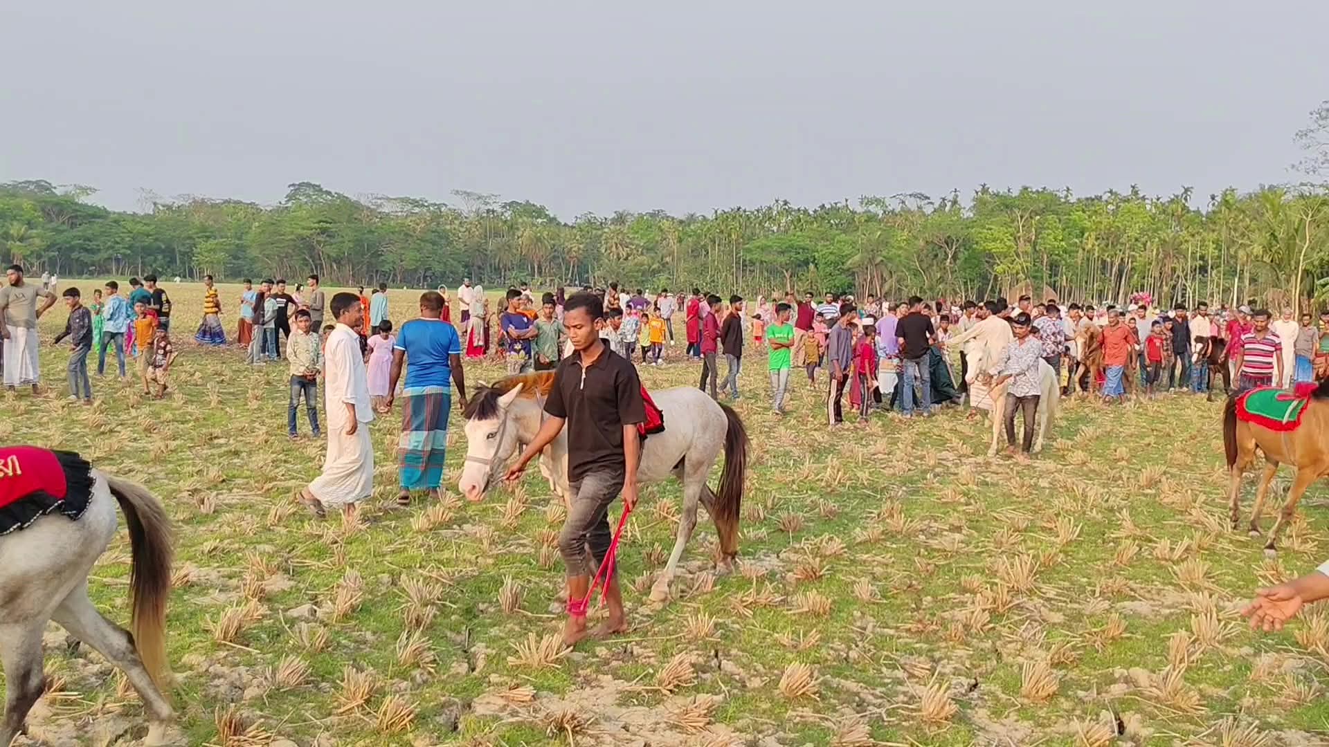 ঝালকাঠি কাঁঠালিয়ায় পবিত্র ঈদুল ফিতর উপলক্ষে ঐতিহ্যবাহী ঘোরদৌঁড় অনুষ্ঠিত