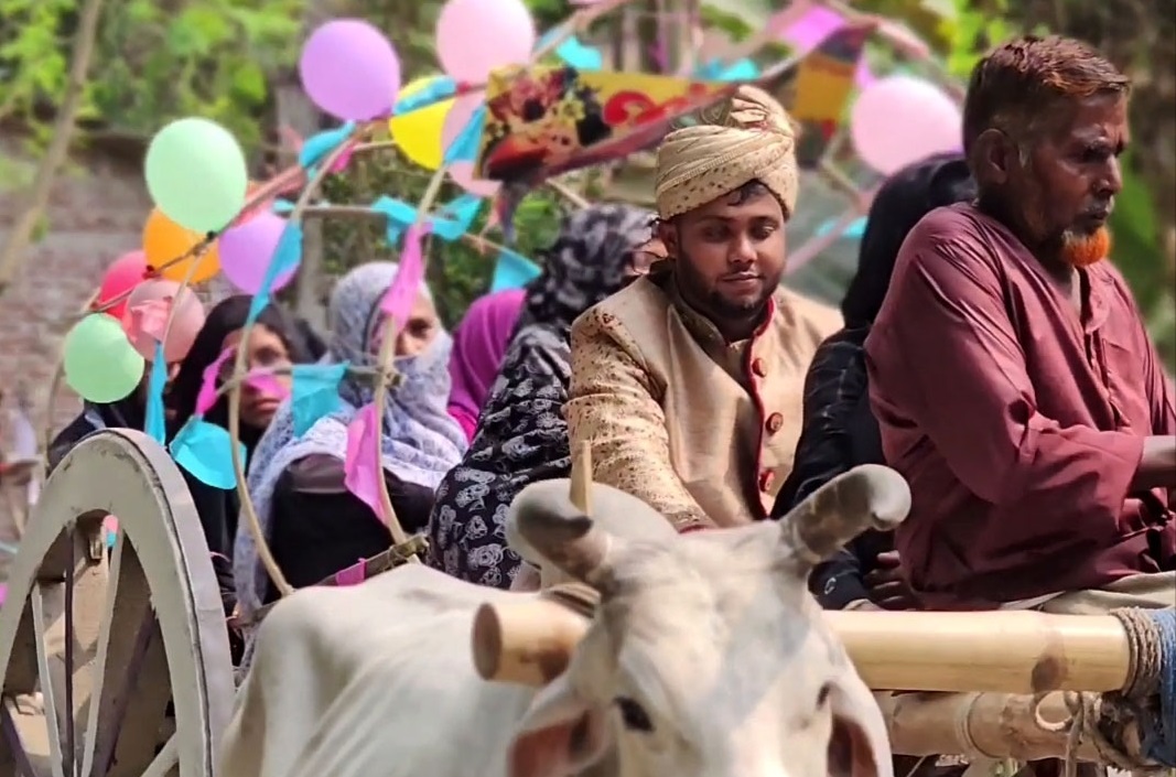 কালীগঞ্জে ব্যতিক্রমী গরুর গাড়িতে বিয়ে