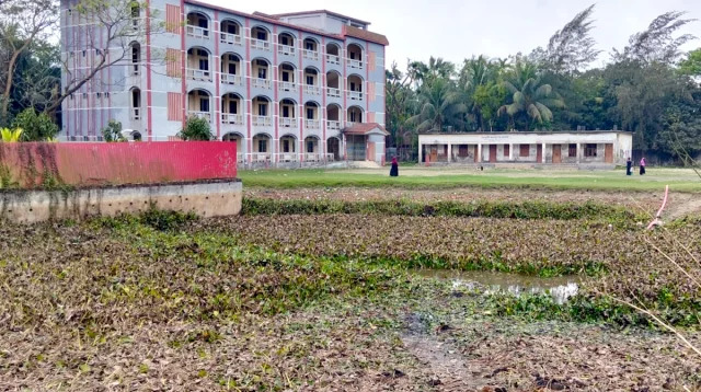 নোয়াখালীতে পুকুর সেচতে গিয়ে মিলল অজ্ঞাত ব্যক্তির অর্ধগলিত মরদেহ