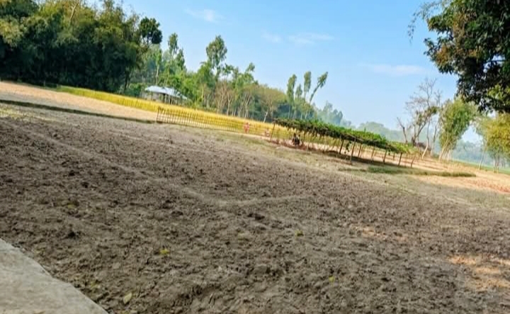 কুড়িগ্রামের উলিপুরে ব্যক্তিগত বিরোধের জেরে চাষাবাদ করতে পারেনি কৃষক