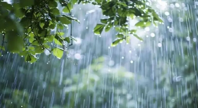 যেসব এলাকায় টানা ৫ দিন বজ্রসহ বৃষ্টির আভাস