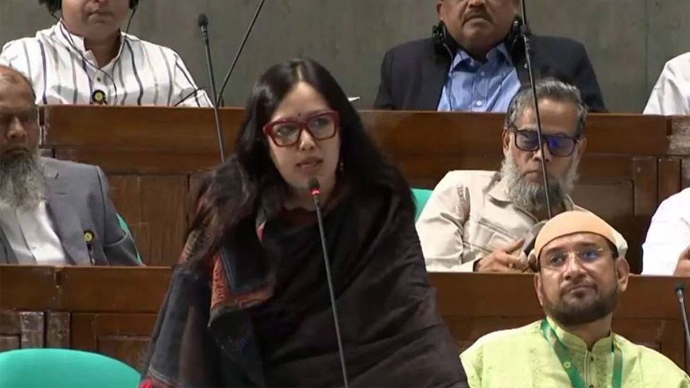 সংসদে মির্জা ফখরুলের কাছে যে প্রশ্ন রুমিন ফারহানার