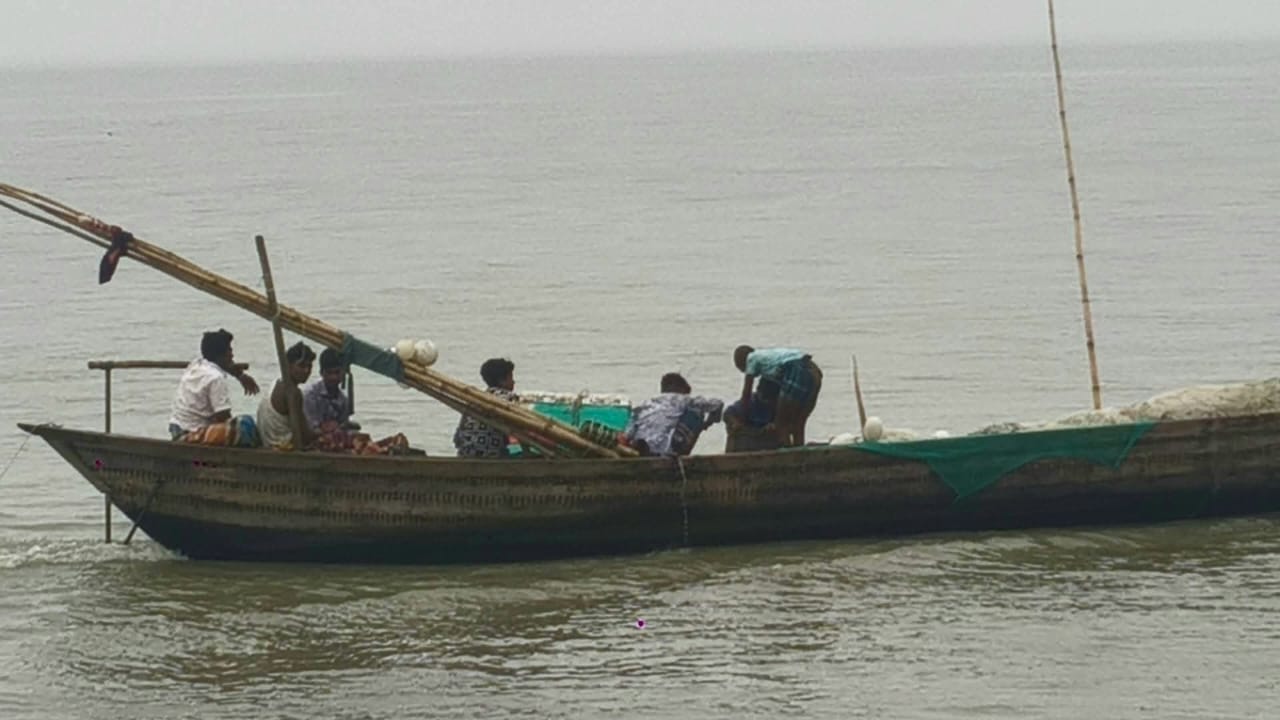 অভিযান-সহায়তা সব ব্যর্থ: মেঘনায় জাটকা নিধন অব্যাহত