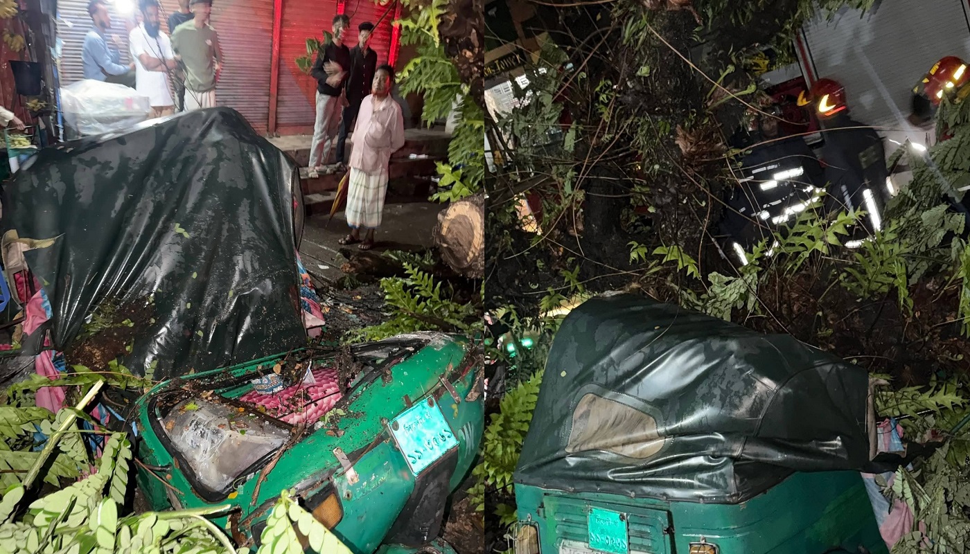 সিলেটে কালবৈশাখী ঝড়ের তাণ্ডব গাছ ভেঙে সিএনজি পিষ্ট