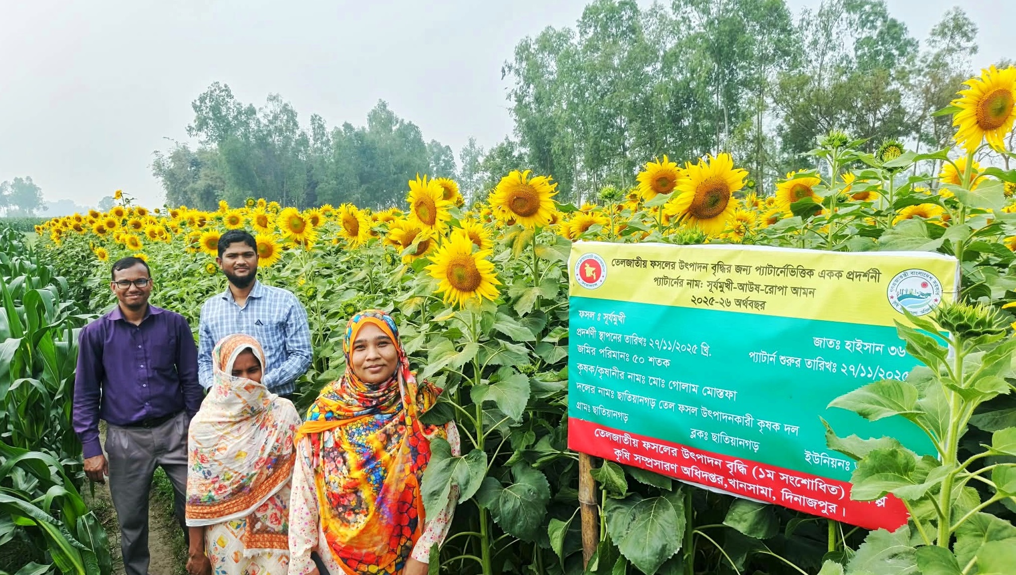 সোনালি ফুলে সাজানো খানসামা, কৃষকের মুখে হাসি