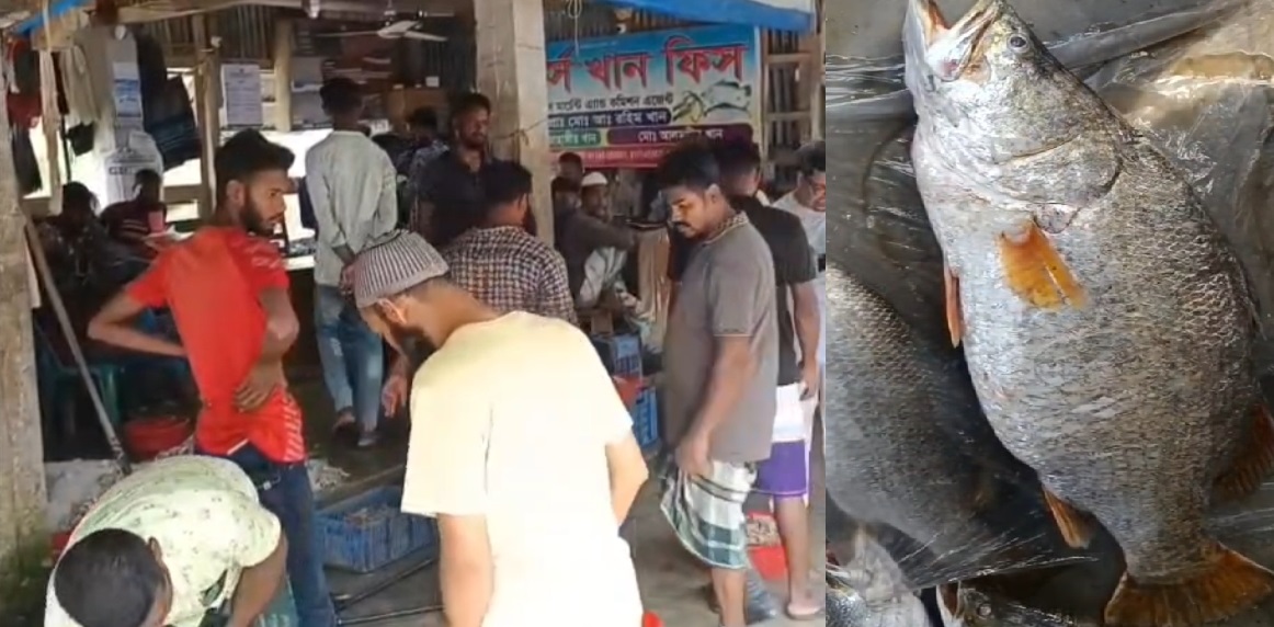 কুয়াকাটায় জেলের জালে ধরা পড়লো চলতি বছরের সবচেয়ে বড় কোরাল