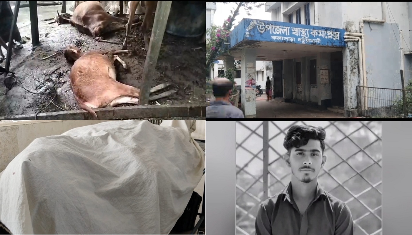 পটুয়াখালীতে বজ্রপাতে ৪ জন নিহত, অর্ধশতাধিক গরুর মৃত্যু