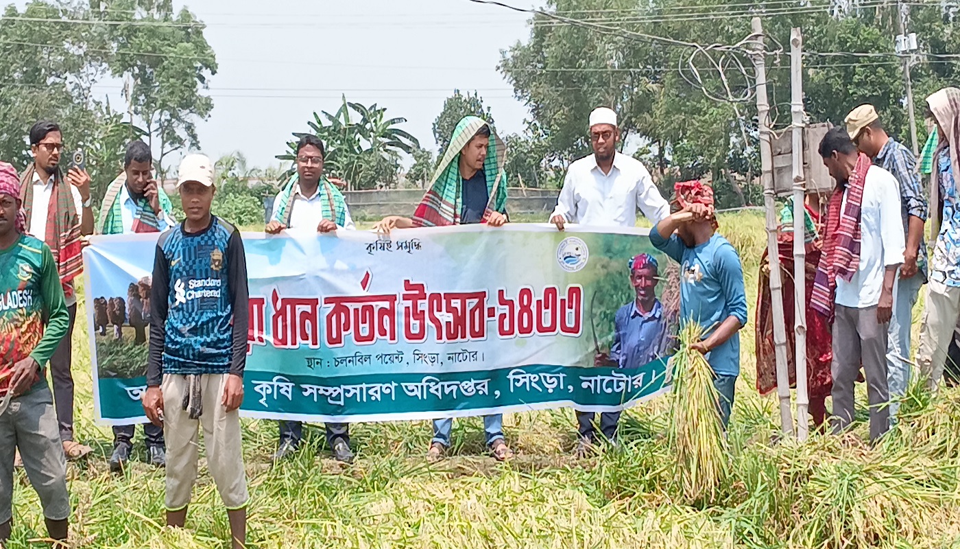 সিংড়ার চলনবিলে ধান কাটা উদ্বোধন করলেন ইউএনও