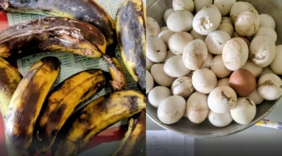 বাকেরগঞ্জে সরকারি প্রাথমিক বিদ্যালয়ে শিক্ষার্থীদের টিফিনে নিম্নমানের পচা ও বাসি খাবার খেয়ে স্বাস্থ্য ঝুঁকিতে শিক্ষার্থীরা!