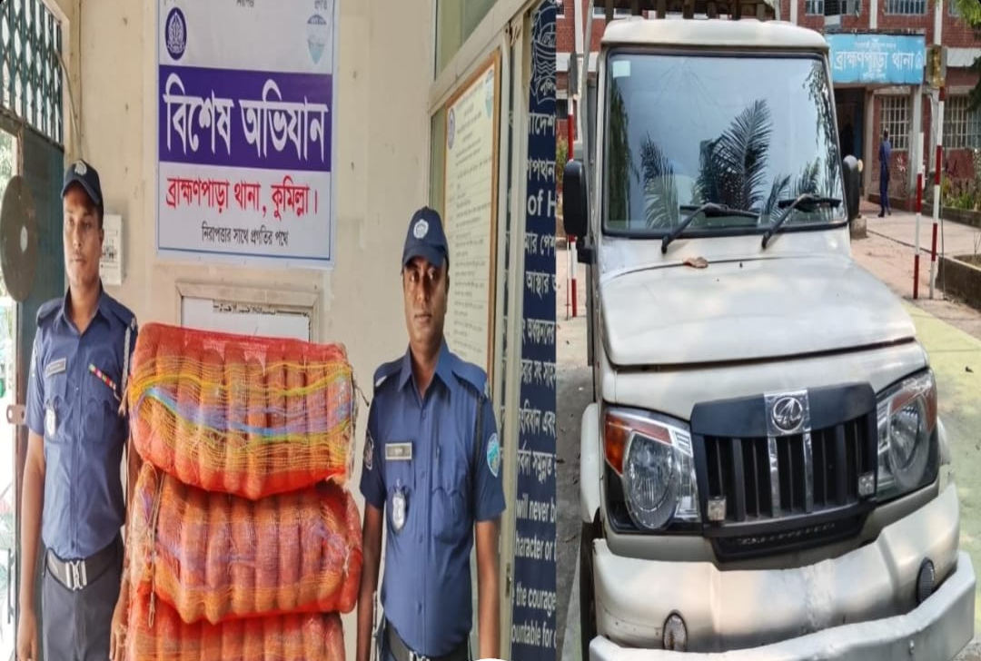 ব্রাহ্মণপাড়ায় বিশেষ অভিযানে ৬০ কেজি গাঁজা উদ্ধার, পিকআপ জব্দ