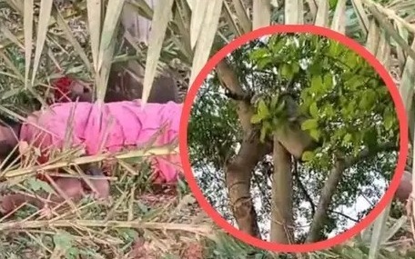 মঠবাড়িয়ায় বৈদ্যুতিক ট্রান্সমিটার চুরি করতে গিয়ে যুবকের মৃত্যু